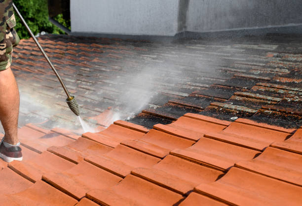 Best Exterior Home Cleaning  in Harlem Heights, FL