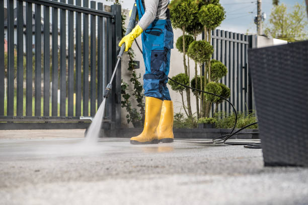 Best Affordable Power Washing  in Harlem Heights, FL