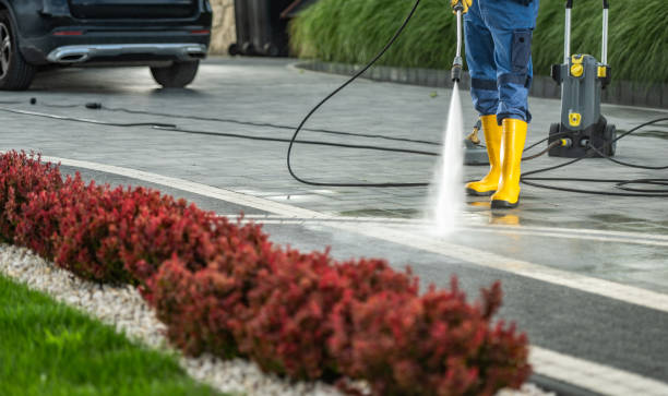 Best Pressure Washing Company Near Me  in Harlem Heights, FL